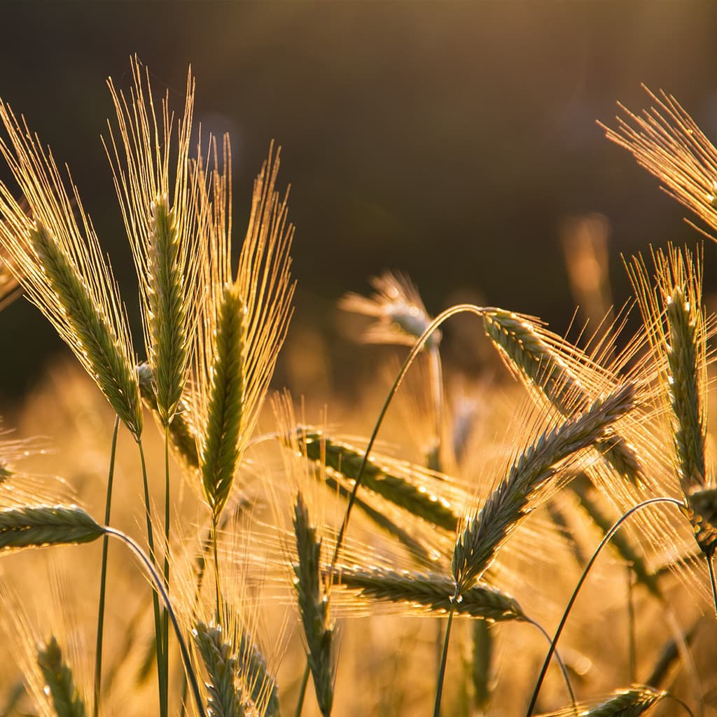 About Konpack Poland